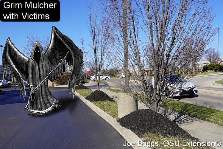 Grim Reaper drawn overtop of picture of trees with mulch mounds